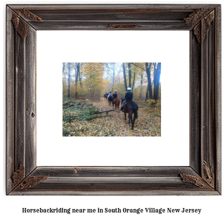 horseback riding near me in South Orange Village, New Jersey